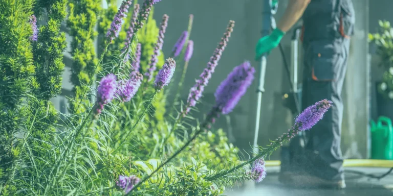 Spring Cleaning Margate